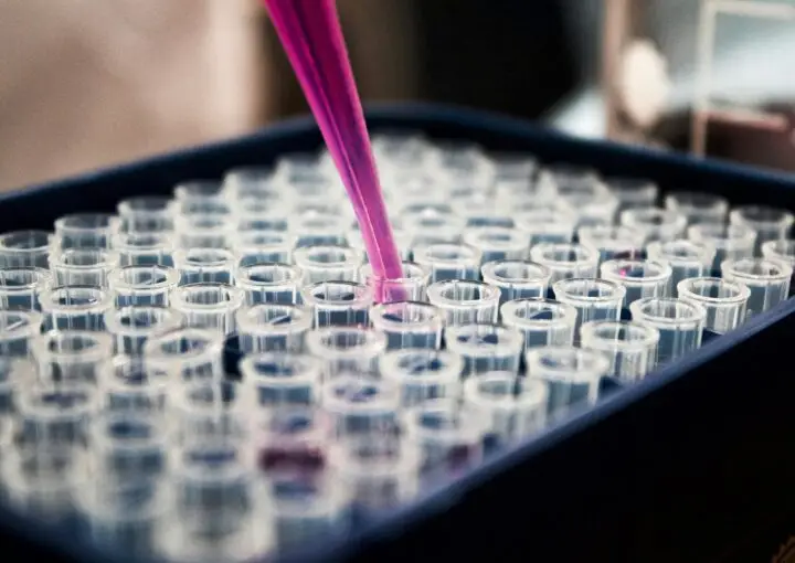 Chemical Manufacturing